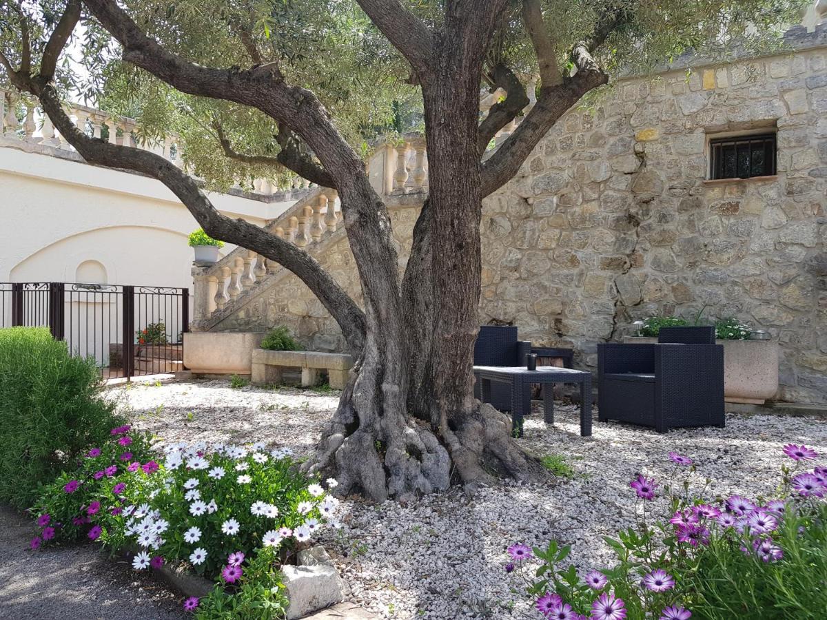 Villa Manoe دْراجينْيا المظهر الخارجي الصورة